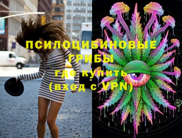дмт Балахна