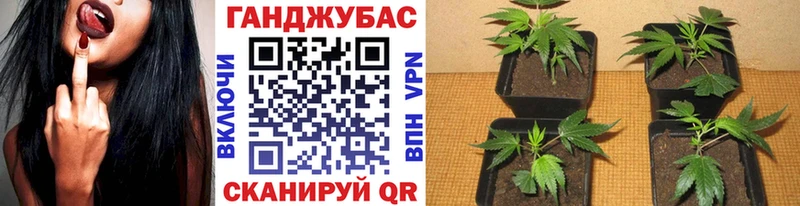 цены   mega вход  Бошки Шишки конопля  Спасск-Рязанский 